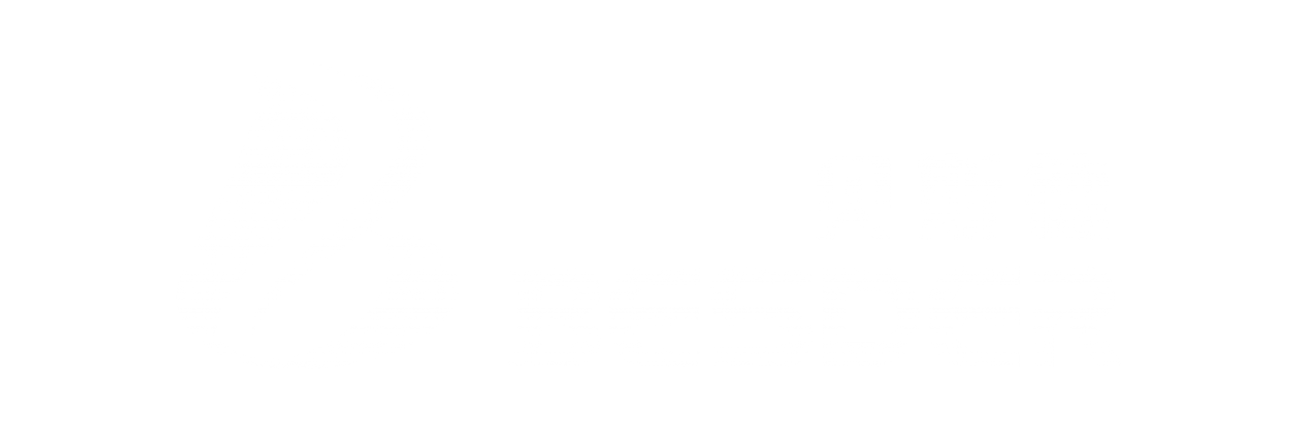 贝斯德自动化